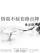 《情敌不按套路出牌》小说封面
