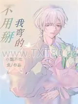 《不用掰，我弯的》小说封面
