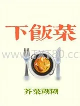 《下饭菜》小说封面