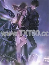 《平平淡淡才是真》小说封面