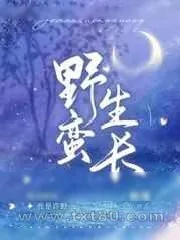 《野蛮生长》小说封面
