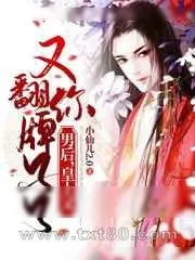 《男后,皇上又翻你牌子了》小说封面