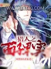 《全职猎人》小说封面