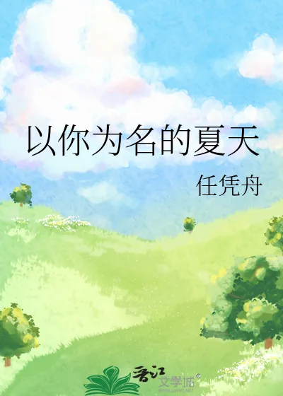 《以你为名的夏天》小说封面