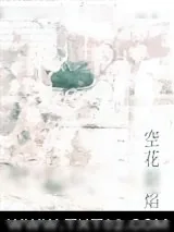 《空花阳焰》小说封面