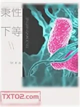 《秉性下等》小说封面
