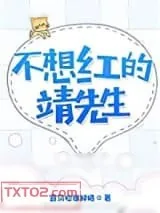 《不想红的靖先生》小说封面