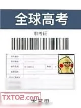 《全球高考》小说封面