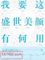 《我要这盛世美颜有何用》小说封面