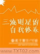 《三流明星的自我修养》小说封面