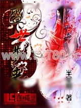 《盛世梦来》小说封面