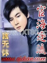 《宦海逐流》小说封面
