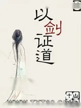 《[综]以剑证道》小说封面