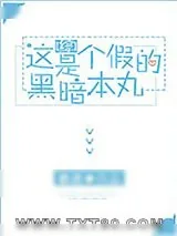 《[综]这是个假的暗黑本丸》小说封面