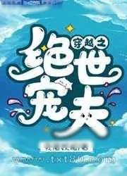 《穿越之绝世宠夫》小说封面