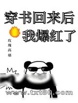 《穿书回来后我爆红了》小说封面