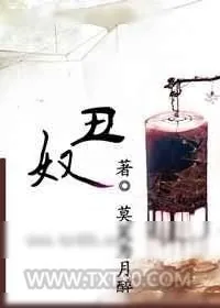 《丑奴》小说封面