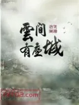 《云间有座城》小说封面