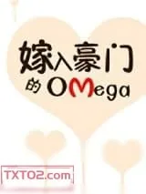 《嫁入豪门的Omega》小说封面