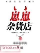 《崽崽杂货店》小说封面