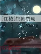《[红楼]锦鲤贾瑚》小说封面