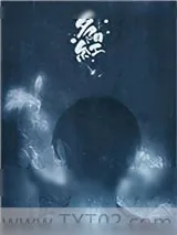 《夕阳红（大叔攻&大叔受）》小说封面