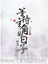 《等待主角的日子[穿书]》小说封面
