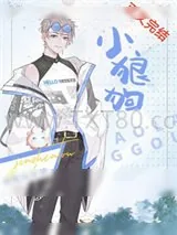 《小狼狗》小说封面
