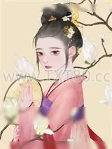 《丞相他是斯文败类》小说封面