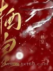 《栖皇》小说封面