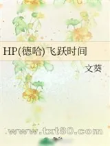 《[HP德哈]飞跃时间》小说封面