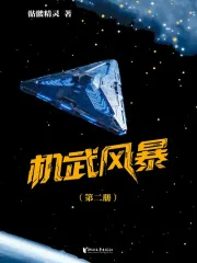 《机武风暴(第二册)》小说封面