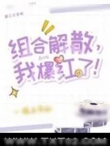 《组合解散，我爆红了！》小说封面