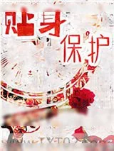 《贴身保护》小说封面