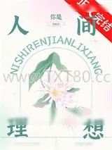 《你是人间理想》小说封面