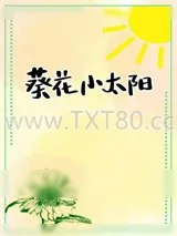 《葵花小太阳》小说封面