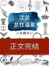 《沈总总在逼氪》小说封面