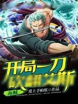 《海贼开局一刀砍翻艾斯》小说封面