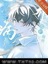 《病美人养护指南》小说封面
