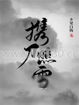 《携刀照雪》小说封面