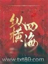 《纵横四海》小说封面