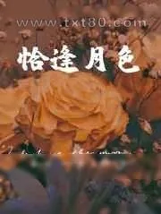 《恰逢月色》小说封面