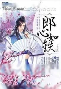 《郎心如铁》小说封面
