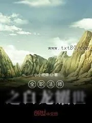 《全职法师之白龙耀世》小说封面