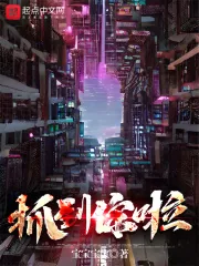 《抓到你啦》小说封面