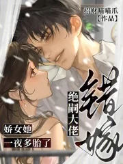 《错嫁绝嗣大佬，娇女她一夜多胎了》小说封面