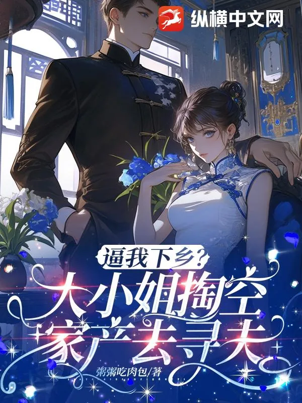 《逼我下乡?大小姐掏空家产千里寻夫》小说封面
