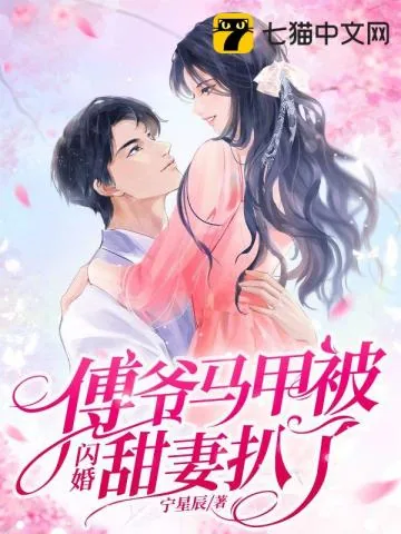 《傅爷马甲被闪婚甜妻扒了》小说封面