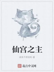 《仙宫之主》小说封面