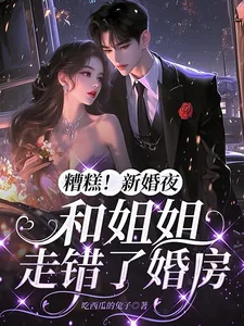 《糟糕！新婚夜，和姐姐走错了婚房》小说封面